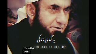 Video bayan