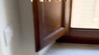 Funny Cat ????????????????