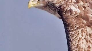 TOP VIEW NATURE 2
