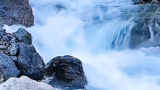 Top View Nature 16
