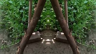 Beautiful video 8