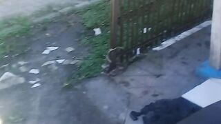 per kampungan orang indonesia