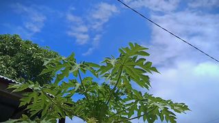 Cinematic view