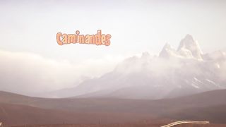 Llama Drama