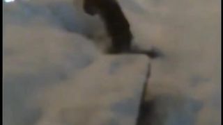 ???????? 22