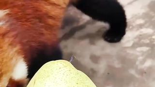 so cute！