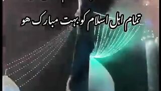 Ali mola 3