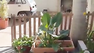 Nature's beauty 2