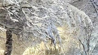 relaxation video with nature beauty