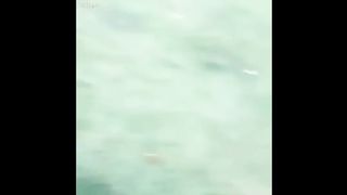 Funny Situations 2