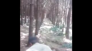 Funny Funny Funny