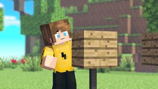 Minecraft 14