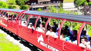 Enjoy with train