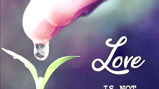 WHAT IS LOVE ?