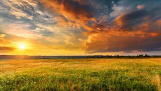 Beautiful evening// Evening time// Nature
