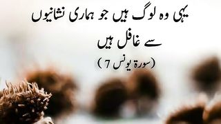quotes channel 16