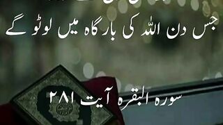 quotes channel 17
