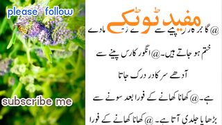 The best totky in urdu #viral #video #creator