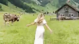 Animals of Switzerland