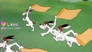 Fox clever and dogs
