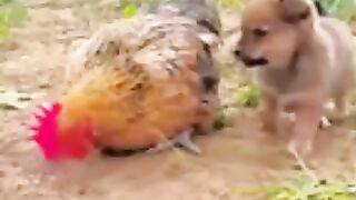 Febspot - Become popular #febspot