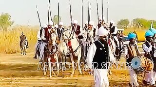 #best of pakistan #Beautiful horses