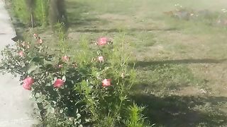 Natural beauty learning place