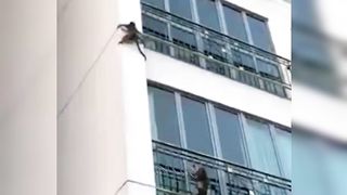 Funniest Cats and dog videos 2023 #animal #cats #dogs #funny #funnyvideos