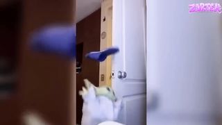 if you laugh you restart the video????????