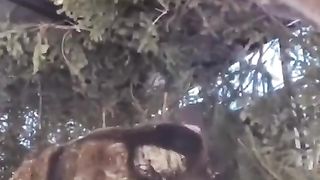 Забота