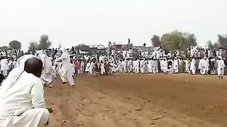 Bull race karah Pakistan