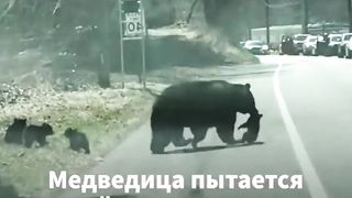 Переходит через дорогу