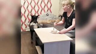 Теперь все ЧЕСТНО