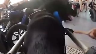ГОНКИ