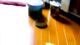 Funny video 461