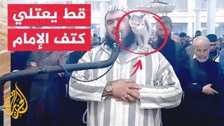| قطة تقتحم محراب إمام مسجد أثناء صلاة التراويح في العاصمة الجزائرية