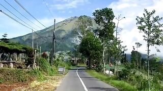 Nepal van java