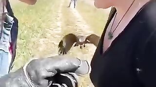 The get back