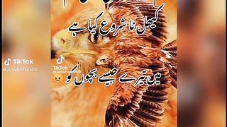 Poetry 126