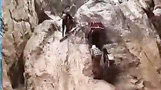 Life in mountains