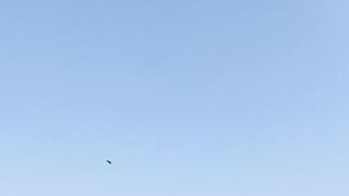 Fly #shorts