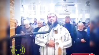 #cat climbed on the Imam's shoulder while performing #salat #ramadan #