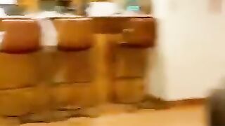 Funny dog 11