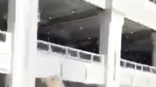 Makkah pak mein insan ke sar per sorrow, Subhan Allah