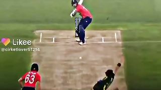 Cricket 20