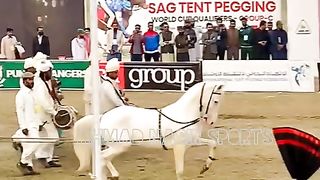 #best horses dance of 2023#ytshorts#youtubeshorts#ytshort#shorts vedio of youtube #shorts