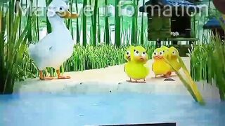 Kowank kowank Duck Children