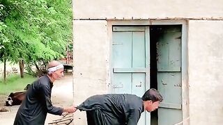 Funny video 463