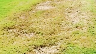funny video ???????? #justforfun #justforlaughs #justforyou #funny #reels #fun
