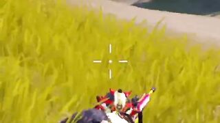 Pubg mobile reflects